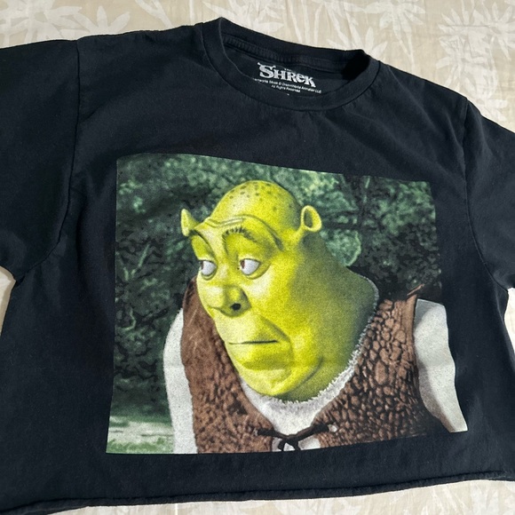 Hot Topic Shrek Custom Crop Tee Size Small - Picture 3 of 7